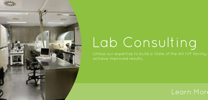 lab